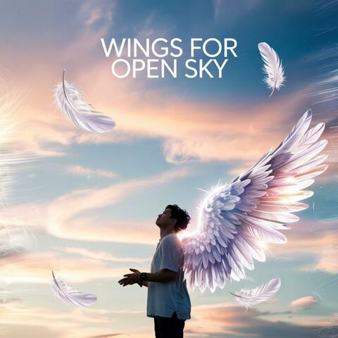 Wings for open sky
