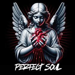 PERFECT SOUL