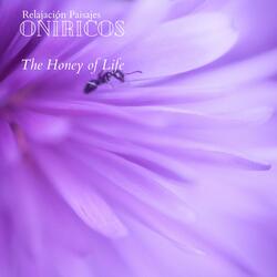 The Honey of Life