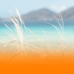 Relaxing Wellness Music For Chakra Healing And Inner Peace