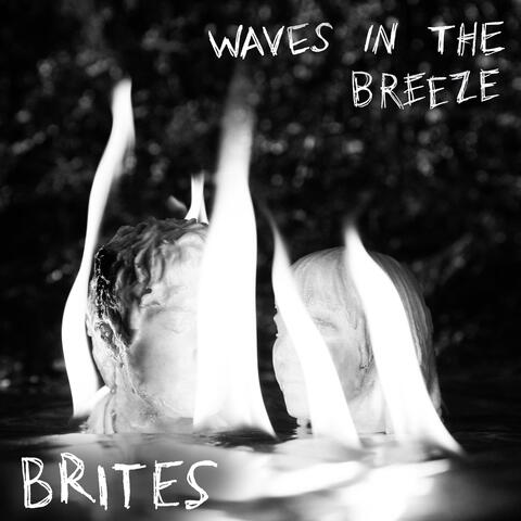 Waves in the Breeze