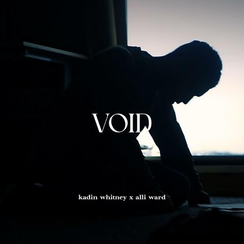 Void (feat. alli ward)