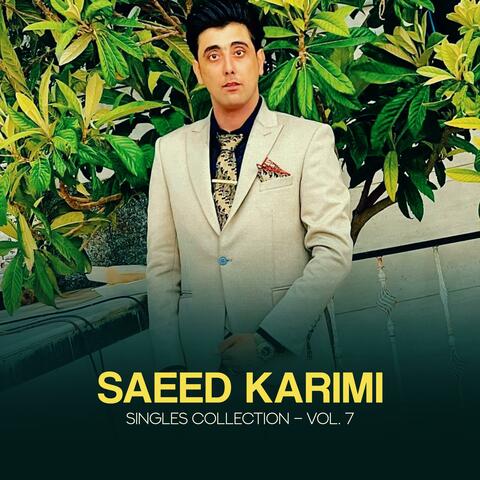 Singles Collection, Vol. 7