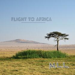 Flight To Africa