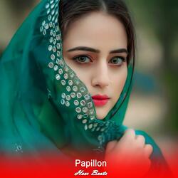 Papillon