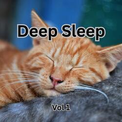 Deep Sleep Music with Rain & 528Hz | 1 Hour of Calming Ambient Sounds