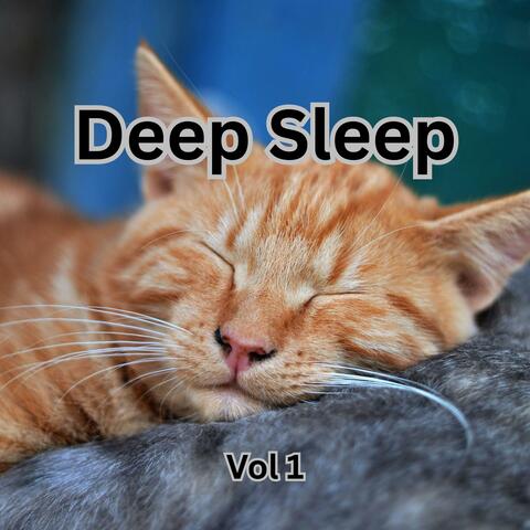 Deep Sleep Music with Rain & 528Hz | 1 Hour of Calming Ambient Sounds