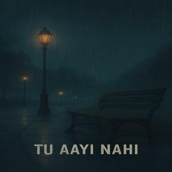 TU AAYI NAHI