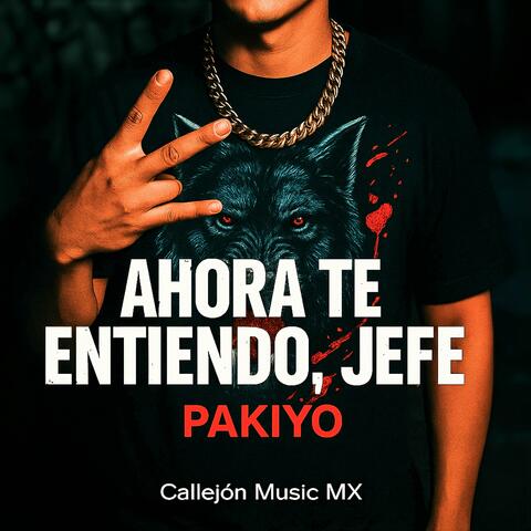 Ahora te entiendo Jefe