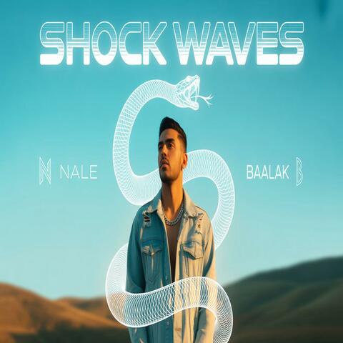 Shock Waves