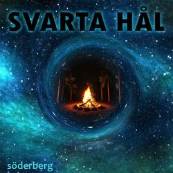 Svarta hål