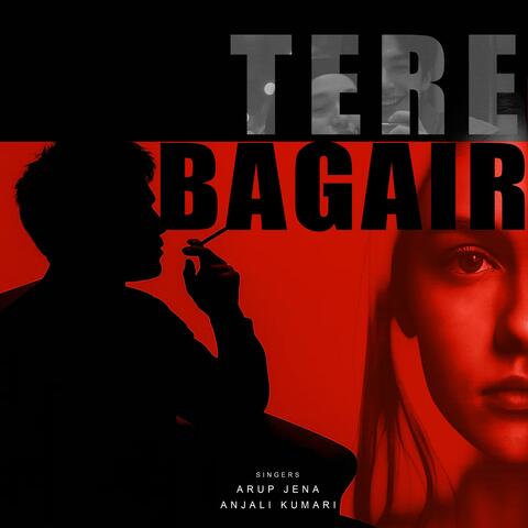 Tere Bagair
