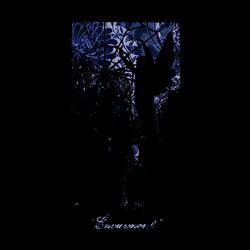 Noches Azules "Sueña"