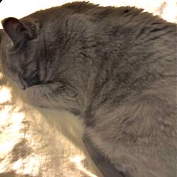 Walking Down the Street to the Tune of The Unclouded Day