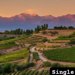 El camino del Peregrino