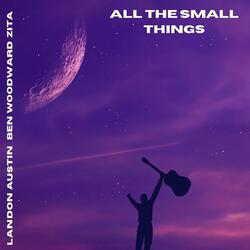 All The Small Things (feat. Landon Austin & Ben Woodward)