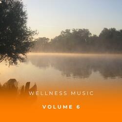 Relaxing Wellness Music For Mindfulness And Restful Sleep