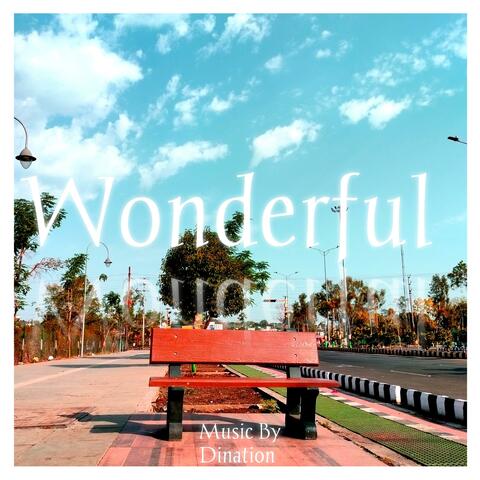 Wonderful
