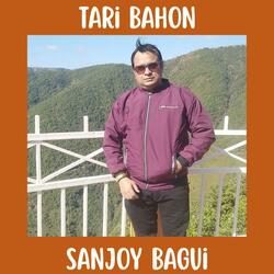 Tari Bahon