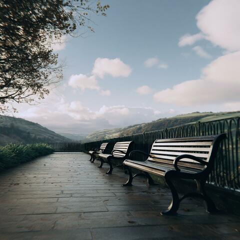 Empty Park Benches