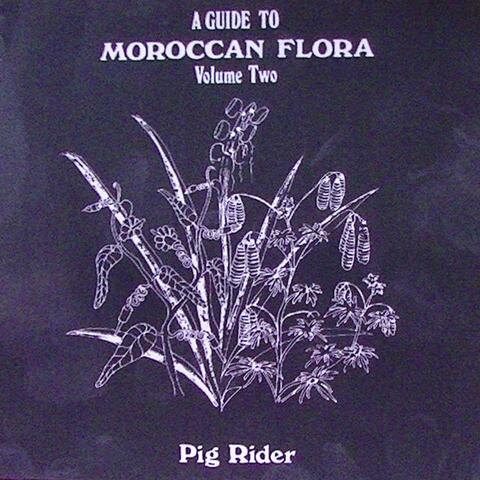 A Guide to Moroccan Flora Volume 2