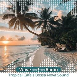 Soft Shell Reflection