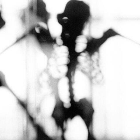 fragments of the whole