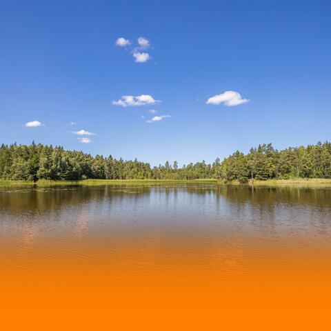 Relaxing Wellness Music For Serenity And Mindful Breathing