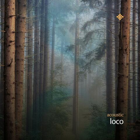 loco