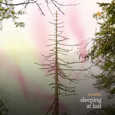 sleeping at last