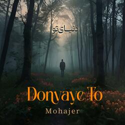 Donyaye To