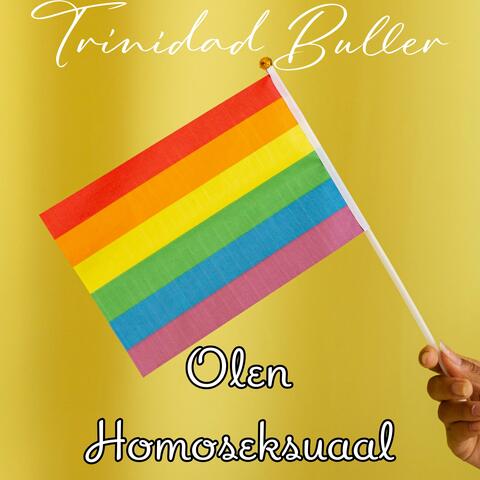 Olen Homoseksuaal
