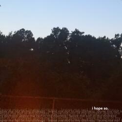 Leave Me Not In My Distress