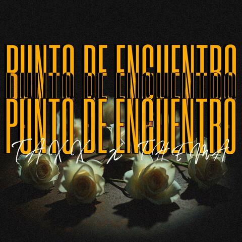 Punto de encuentro