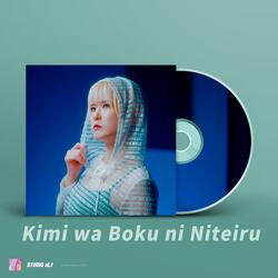 Kimi wa Boku ni Niteiru