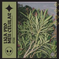 Liga Pro Meu Celular