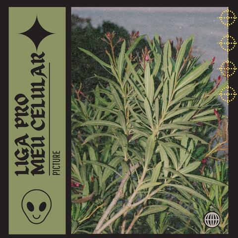 Liga Pro Meu Celular