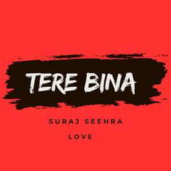 TERE BINA