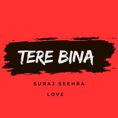 TERE BINA