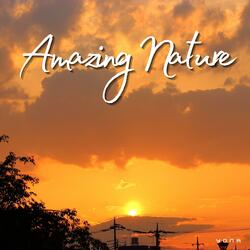 Amazing Nature