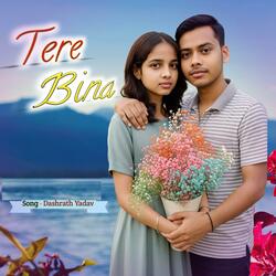 Tere Bina