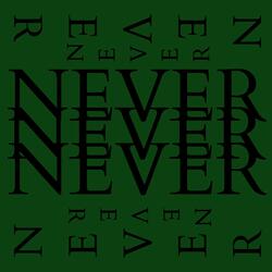NEVER, Pt. 2