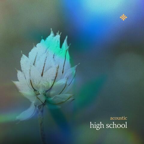 high school
