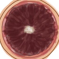 Blood Orange