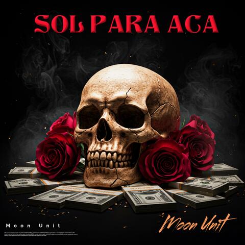 SOL PARA ACA