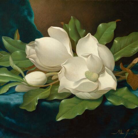 I Can't Believe We're Still in Love