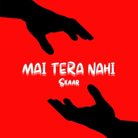 MAI TERA NAHI
