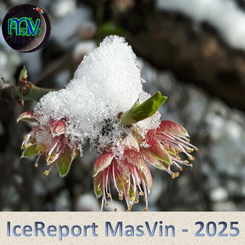 IceReport