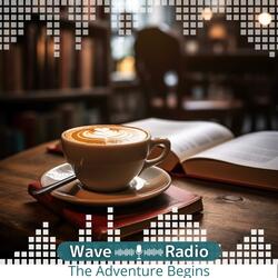 Tranquil Patterns of Drops