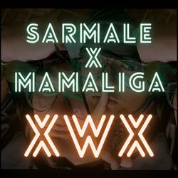 Sarmale X Mamaliga
